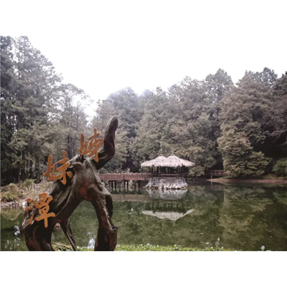 대만 남부[가오슝/아리산] 4일(노쇼핑/관쯔링머드온천/몽시대 대관람차)