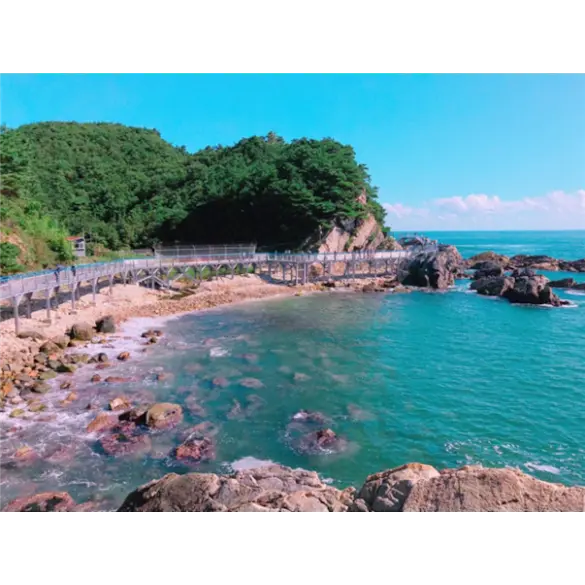 [KTX] 강원도 동해 강릉 당일여행