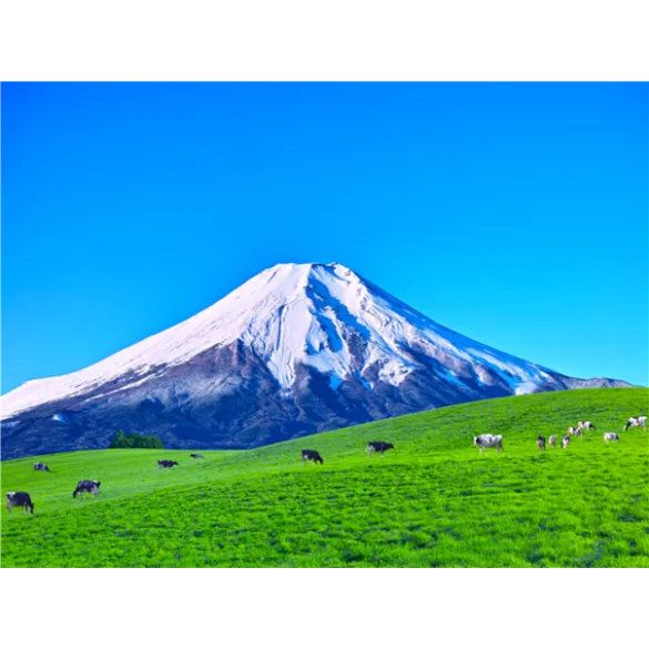 [동경NO1][전일관광] 후지산/하코네/오다이바 동경 4일 (온천호텔1박/트윈룸/해적유람선탑승)