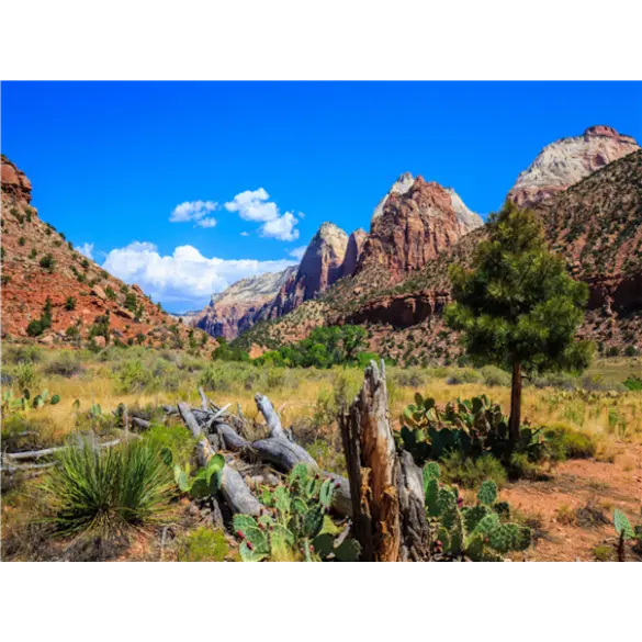 [출발확정] 미서부 완전일주 10일 ＜3대도시/5대캐년/라스2박＞