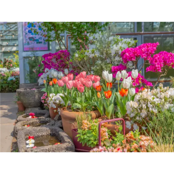 [힐링BEST] 제주도 3일 ＜카멜리아힐/안돌오름/족욕체험/관광급/아시아나＞