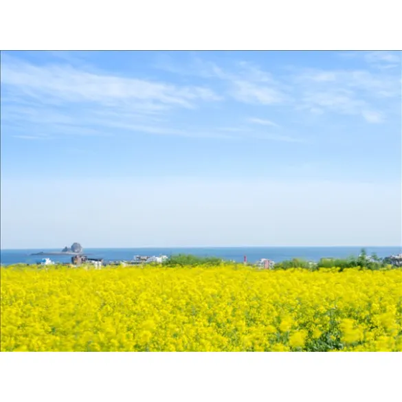 [광주출발][제주한섬] 제주도 가파도 4일